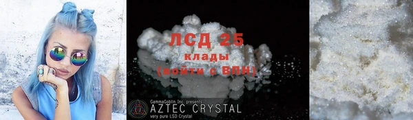 амф Алексин
