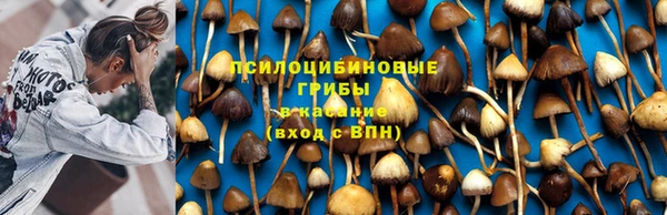 амф Алексин