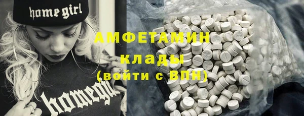 амф Алексин