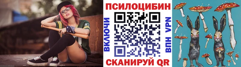 цены наркотик  Полтавская  Галлюциногенные грибы мицелий 